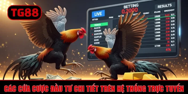 Đá Gà TG88 - Hình Thức Giải Trí Gay Cấn, Thưởng Hấp Dẫn