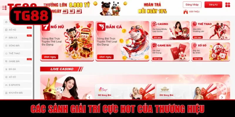 Giới Thiệu TG88 - Tổng Quan Nhà Cái Cá Cược Online Hàng Đầu