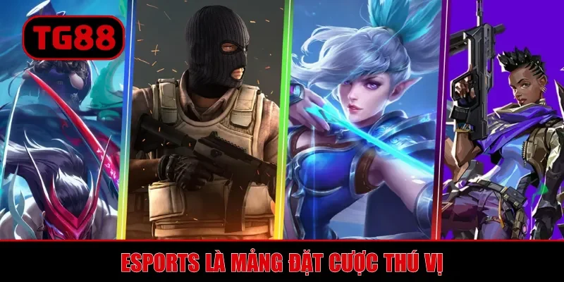 Thể Thao TG88 - Đặt Cược Đa Dạng, Kèo Bet Xanh Chín