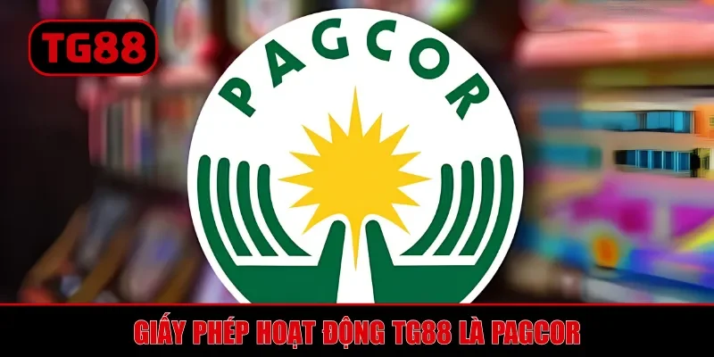 Giấy Phép Hoạt Động TG88 | Minh Chứng Cho Đẳng Cấp Nhà Cái