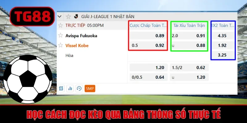 Kèo Nhà Cái TG88 - Bảng Tỷ Lệ Cược Trực Tuyến Chuẩn Xác