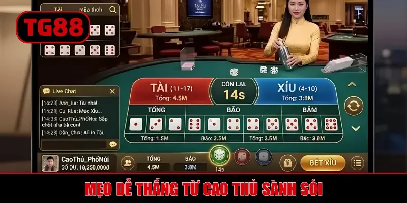 Tài Xỉu TG88 Là Gì? Lưu ý Trọng Điểm Khi Chơi Thực Tế