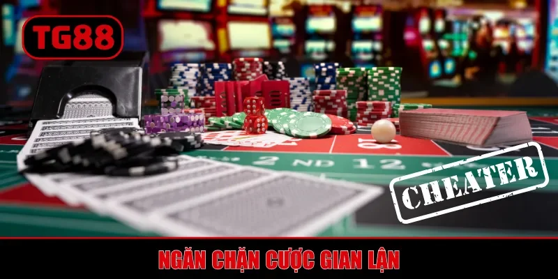 Chính Sách Bảo Mật TG88 - Các Cam Kết Chuẩn Mực Của Nhà Cái