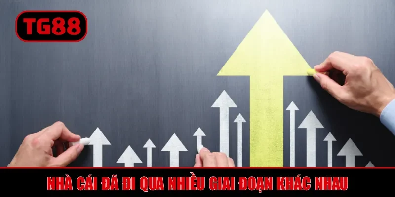 Giới Thiệu TG88 - Tổng Quan Nhà Cái Cá Cược Online Hàng Đầu