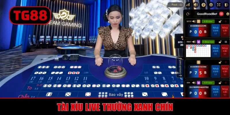 Casino Online TG88 - Sảnh Cược Live Đẳng Cấp, Thưởng Hấp Dẫn