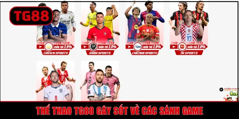 Thể Thao TG88 - Đặt Cược Đa Dạng, Kèo Bet Xanh Chín