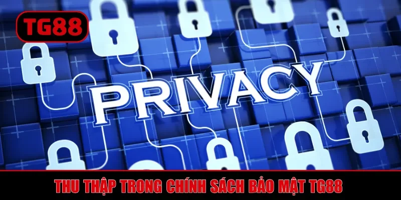 Chính Sách Bảo Mật TG88 - Các Cam Kết Chuẩn Mực Của Nhà Cái
