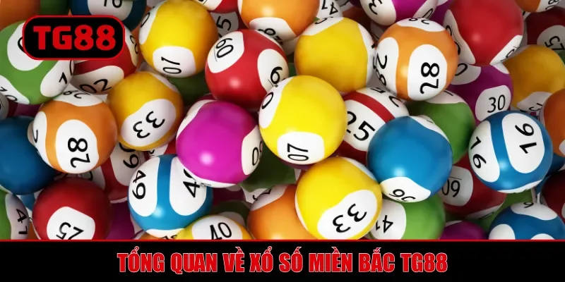 Xổ Số Miền Bắc TG88 - Hướng Dẫn Dự Thưởng Toàn Diện