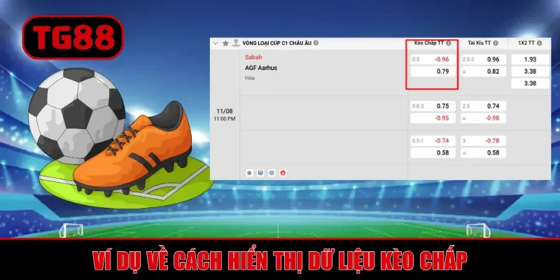 Kèo Châu Á TG88 - Cách Đọc Tỷ Lệ Và Mẹo Cược Thắng Lớn